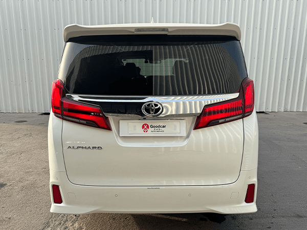 Toyota Alphard-DD-74393 (9)