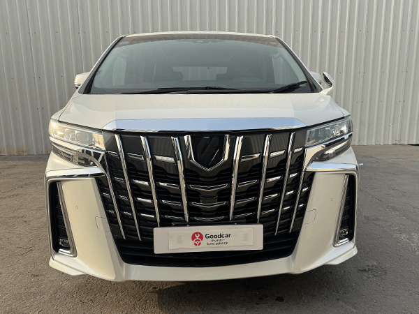 Toyota Alphard-DD-74393 (4)