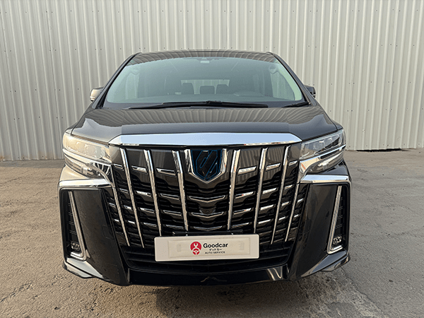 Toyota Alphard-DD-74392 (4)